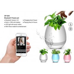 Musical flower pot & wireless speaker